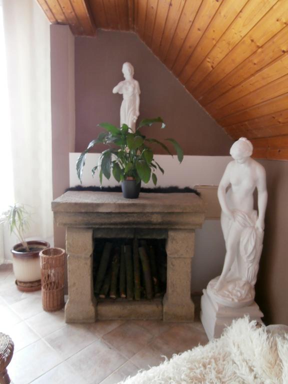 Pension Libra Velešín Extérieur photo
