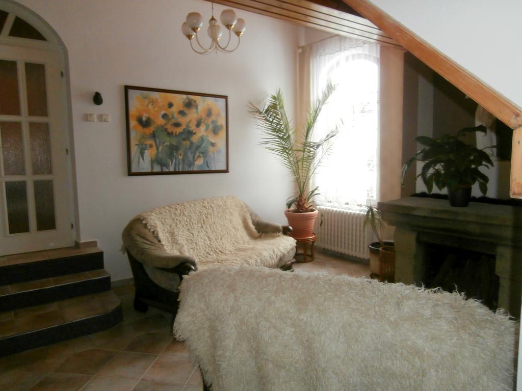 Pension Libra Velešín Extérieur photo